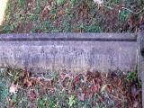 image of grave number 489413